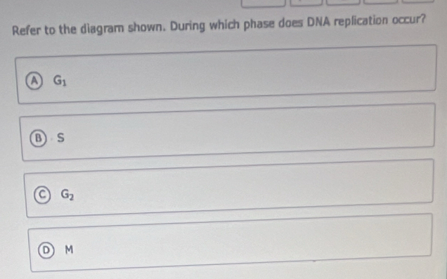 Refer to the diagram shown. During which phase does DNA replication occur?
a G_1
B S
a G_2
D M