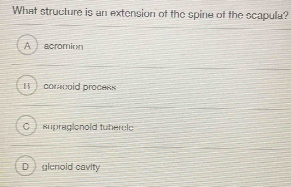 What structure is an extension of the spine of the scapula?
A acromion
B coracoid process
C supraglenoid tubercle
D glenoid cavity