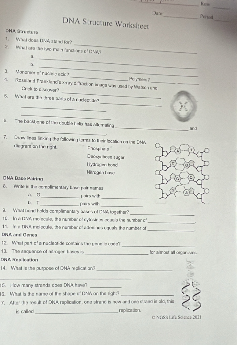 Row 
_ 
_ 
Date_ Period 
DNA Structure Worksheet 
DNA Structure 
_ 
1. What does DNA stand for? 
2. What are the two main functions of DNA? 
a. 
_ 
b. 
_ 
3. Monomer of nucleic acid? _Polymers? 
_ 
4. Roseland Frankland's x-ray diffraction image was used by Watson and 
Crick to discover? 
_ 
5. What are the three parts of a nucleotide? 
_ 
_ 
6. The backbone of the double helix has alternating 
_ 
_ 
and 
7. Draw lines linking the following terms to their location on the DNA 
diagram on the right. Phosphate 
Deoxyribose sugar 
Hydrogen bond 
Nitrogen base 
DNA Base Pairing 
8. Write in the complimentary base pair names 
_ 
a. G_ pairs with 
b. T _pairs with 
_ 
_ 
9. What bond holds complimentary bases of DNA together? 
10. In a DNA molecule, the number of cytosines equals the number of 
_ 
11. In a DNA molecule, the number of adenines equals the number of 
_ 
DNA and Genes 
12. What part of a nucleotide contains the genetic code?_ 
13. The sequence of nitrogen bases is _for almost all organisms. 
DNA Replication 
14. What is the purpose of DNA replication?_ 
_ 
15. How many strands does DNA have?_ 
6. What is the name of the shape of DNA on the right?_ 
7. After the result of DNA replication, one strand is new and one strand is old, this 
is called_ replication. 
© NGSS Life Science 202