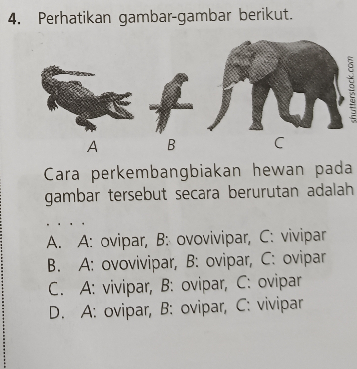 Perhatikan gambar-gambar berikut.
A
B
C
Cara perkembangbiakan hewan pada
gambar tersebut secara berurutan adalah
A. A: ovipar, B: ovovivipar, C: vivipar
B. A: ovovivipar, B: ovipar, C: ovipar
C. A: vivipar, B: ovipar, C: ovipar
D. A: ovipar, B: ovipar, C: vivipar