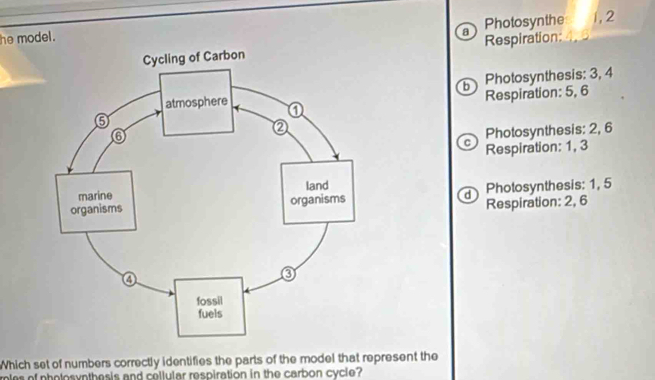 he model.
a Photosynthe 1, 2
Respiration:
Photosynthesis: 3, 4
b
Respiration: 5, 6
Photosynthesis: 2, 6
Respiration: 1, 3
d Photosynthesis: 1, 5
Respiration: 2, 6
Which set of numbers correctly identifies the parts of the model that represent the
roles of pholosynthesis and collular respiration in the carbon cycle?