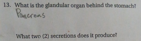 What is the glandular organ behind the stomach? 
What two (2) secretions does it produce?