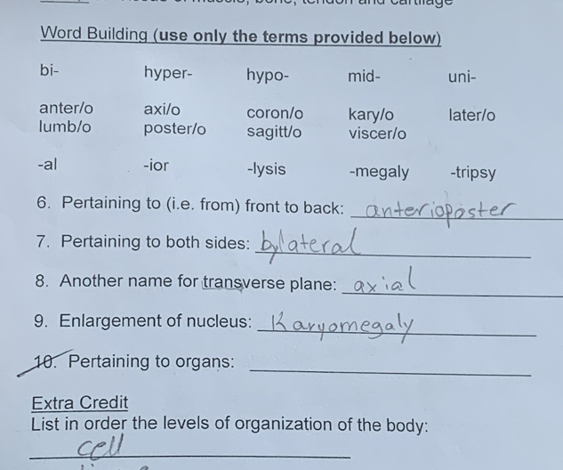 Word Building (use only the terms provided below)
bi- hyper- hypo- mid- uni-
anter/o axi/o coron/o kary/o later/o
lumb/o poster/o sagitt/o viscer/o
-al -ior -lysis -megaly -tripsy
_
6. Pertaining to (i.e. from) front to back:
_
7. Pertaining to both sides:
_
8. Another name for transverse plane:
_
9. Enlargement of nucleus:
_
10. Pertaining to organs:
Extra Credit
List in order the levels of organization of the body:
_