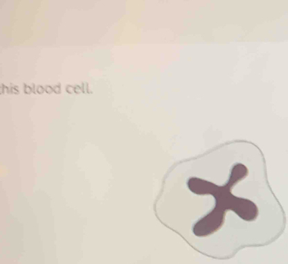 this blood cell.