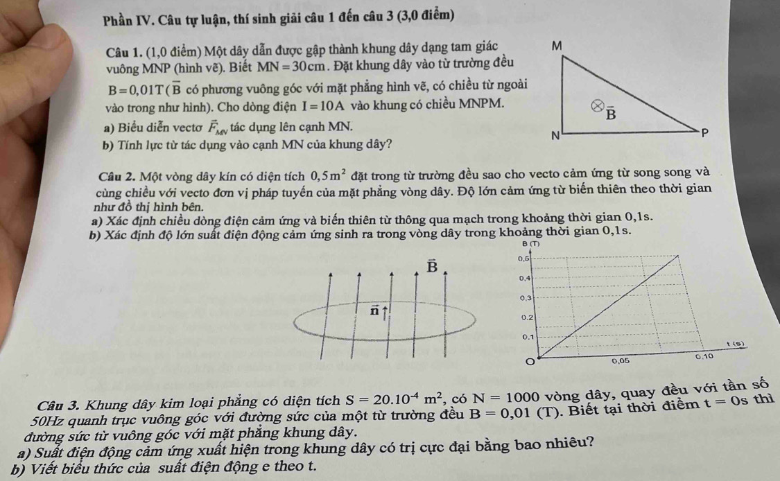 Phần IV. Câu tự luận, thí sinh giải câu 1 đến câu 3 (3,0 điểm)
Câu 1. (1,0 điểm) Một dây dẫn được gập thành khung dây dạng tam giác 
vuông MNP (hình vẽ). Biết MN=30cm. Đặt khung dây vào từ trường đều
B=0,01T(overline B có phương vuông góc với mặt phẳng hình vẽ, có chiều từ ngoài
vào trong như hình). Cho dòng điện I=10A vào khung có chiều MNPM.
a) Biểu diễn vectơ vector F_MN tác dụng lên cạnh MN.
b) Tính lực từ tác dụng vào cạnh MN của khung dây?
Câu 2. Một vòng dây kín có diện tích 0,5m^2 đặt trong từ trường đều sao cho vecto cảm ứng từ song song và
cùng chiều với vecto đơn vị pháp tuyến của mặt phẳng vòng dây. Độ lớn cảm ứng từ biến thiên theo thời gian
như đồ thị hình bên.
a) Xác định chiều dòng điện cảm ứng và biến thiên từ thông qua mạch trong khoảng thời gian 0,1s.
b) Xác định độ lớn suất điện động cảm ứng sinh ra trong vòng dây trong khoảng thời gian 0,1s.
Câu 3. Khung dây kim loại phẳng có diện tích S=20.10^(-4)m^2 , có N=1000 thì
50Hz quanh trục vuông góc với đường sức của một từ trường đều B=0,01(T) vòng dây, quay đều với tần số
. Biết tại thời điểm t=0s
đường sức từ vuông góc với mặt phẳng khung dây.
a) Suất điện động cảm ứng xuất hiện trong khung dây có trị cực đại bằng bao nhiều?
b) Viết biểu thức của suất điện động e theo t.