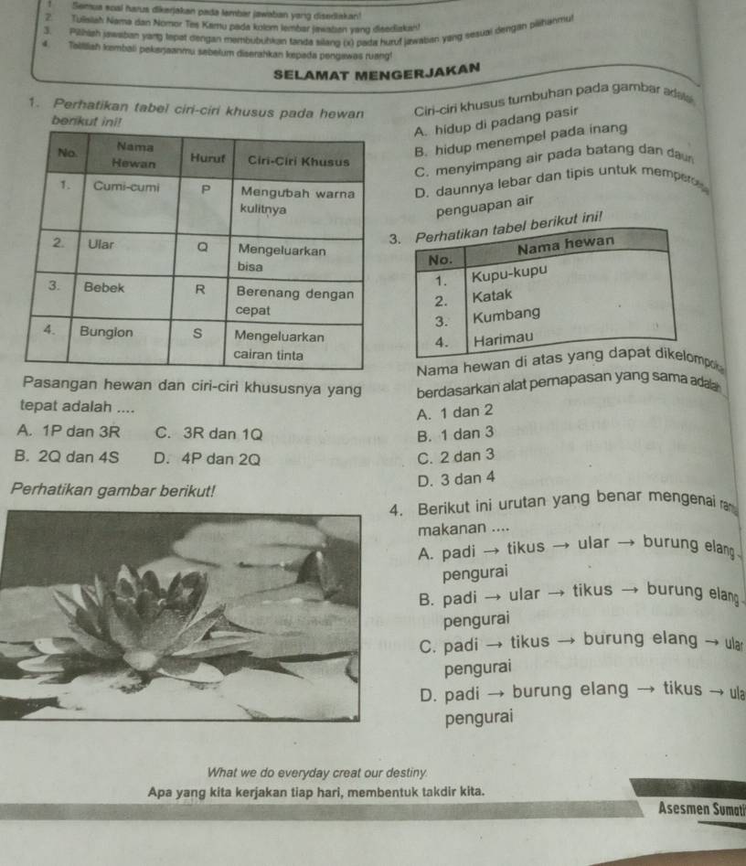 Semua scal harus dikerjakan pada lember jawaban yong disediakan!
2 Tulisiah Nama dan Nomor Tes Karu pada kulem lembar jawaban yang disediakan!
3. Pilhiah jawaban yang tepat dengan membubuhkan tanda silang (x) pada huruf jawaban yang sesual dengan pilihanmul
4. Taillliah kembali pekeŋjaanmu sebelum diserahkan kepada pengawas ruang!
SELAMAT MENGERJAKAN
1. Perhatikan tabel ciri-ciri khusus pada hewan Ciri-ciri khusus tumbuhan pada gambar adaa
benkut ini!
A. hidup di padang pasir
B. hidup menempel pada inang
C. menyimpang air pada batang dan da
D. daunnya lebar dan tipis untuk memper
penguapan air
ikut ini!
Nama hewap
Pasangan hewan dan ciri-ciri khususnya yang berdasarkan alat pernapasan yang sama adaa
tepat adalah ....
A. 1 dan 2
A. 1P dan 3R C. 3R dan 1Q B. 1 dan 3
B. 2Q dan 4S D. 4P dan 2Q C. 2 dan 3
D. 3 dan 4
Perhatikan gambar berikut!
4. Berikut ini urutan yang benar mengenai r
makanan ....
A. padi → tikus → ular → burung elang
pengurai
B. padi → ular → tikus → burung elang
pengurai
C. padi → tikus → burung elang → ua
pengurai
D. padi → burung elang → tikus → u
pengurai
What we do everyday creat our destiny
Apa yang kita kerjakan tiap hari, membentuk takdir kita.
Asesmen Sumati