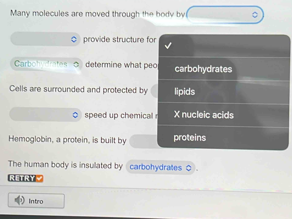 Many molecules are moved through the body by 
Q 
provide structure for 
Carbohydrates determine what peo carbohydrates 
Cells are surrounded and protected by lipids 
speed up chemical r X nucleic acids 
Hemoglobin, a protein, is built by proteins 
The human body is insulated by carbohydrates 
RETRY 
Intro