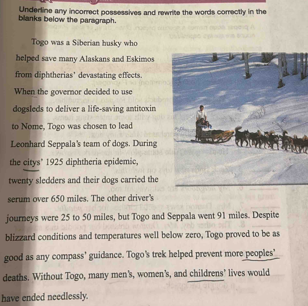 Underline any incorrect possessives and rewrite the words correctly in the 
blanks below the paragraph. 
Togo was a Siberian husky who 
helped save many Alaskans and Eskimos 
from diphtherias’ devastating effects. 
When the governor decided to use 
dogsleds to deliver a life-saving antitoxin 
to Nome, Togo was chosen to lead 
Leonhard Seppala’s team of dogs. During 
the citys’ 1925 diphtheria epidemic, 
twenty sledders and their dogs carried the 
serum over 650 miles. The other driver’s 
journeys were 25 to 50 miles, but Togo and Seppala went 91 miles. Despite 
blizzard conditions and temperatures well below zero, Togo proved to be as 
good as any compass’ guidance. Togo’s trek helped prevent more peoples’ 
deaths. Without Togo, many men’s, women’s, and childrens’ lives would 
have ended needlessly.