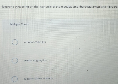 Neurons synapsing on the hair cells of the maculae and the crista ampullaris have cel
Multiple Choice
superior colliculus
vestibular ganglion
superior olivary nucieus