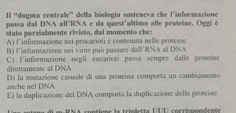 Il “dogma centrale” della biologia sosteneva che l’informazione
passa dal DNA all`RNA e da quest’ultimo alle proteine. Oggi è
stato parzialmente rivisto, dal momento che:
A) l'informazione nei procarioti è contenuta nelle proteine
B) l*informazione nei virus può passare dall´RNA al DNA
C) l'informazione negli eucarioti passa sempre dalle proteine
direttamente al DNA
D) la mutazione casuale di una proteina comporta un cambiamento
anche nel DNA
E) la duplicazione del DNA comporta la duplicazione delle proteine
m R NA con ti en e la tripletta UU corrispondente