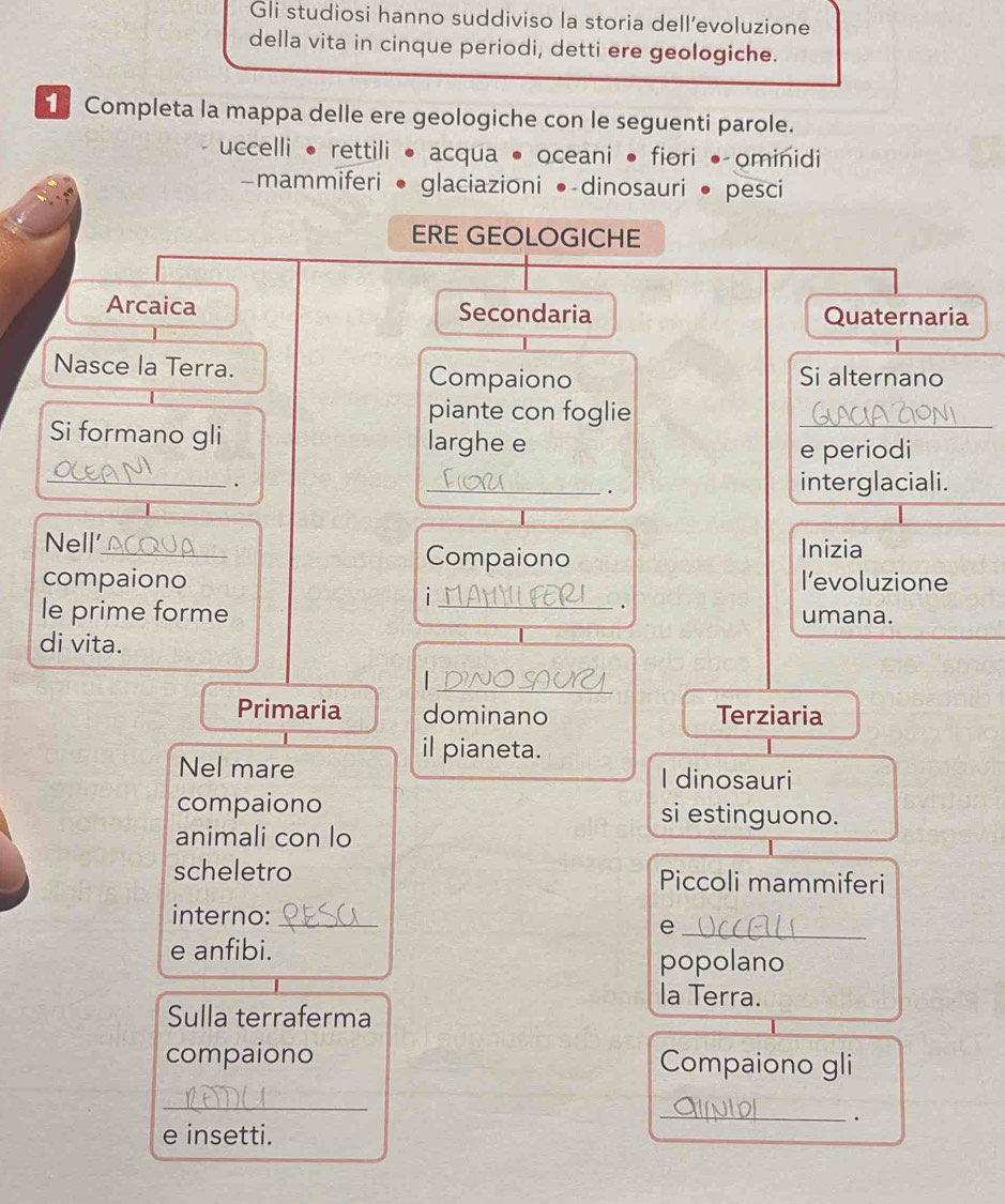 Gli studiosi hanno suddiviso la storia dell’evoluzione
della vita in cinque periodi, detti ere geologiche.
Completa la mappa delle ere geologiche con le seguenti parole.
uccelli • rettili • acqua • oceani • fiori • ominidi
-mammiferi • glaciazioni •dinosauri • pesci
ERE GEOLOGICHE
Arcaica Secondaria Quaternaria
Nasce la Terra. Si alternano
Compaiono
piante con foglie
_
Si formano gli larghe e
e periodi
_. _interglaciali.
.
Nell'_ Compaiono Inizia
compaiono l’evoluzione
_i
.
le prime forme umana.
di vita.
_
Primaria dominano Terziaria
il pianeta.
Nel mare I dinosauri
compaiono si estinguono.
animali con lo
scheletro Piccoli mammiferi
interno:_
_e
e anfibi.
popolano
la Terra.
Sulla terraferma
compaiono Compaiono gli
_
_
.
e insetti.