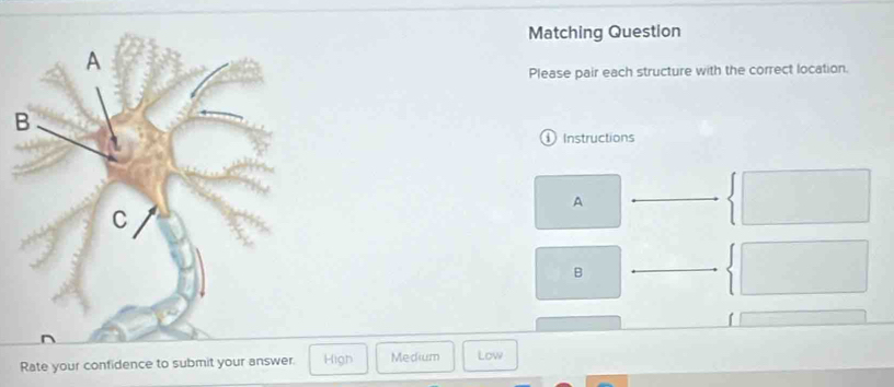 Matching Question
Please pair each structure with the correct location.
Instructions
A
B
Rate your confidence to submit your answer. High Medium Low