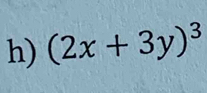 (2x+3y)^3