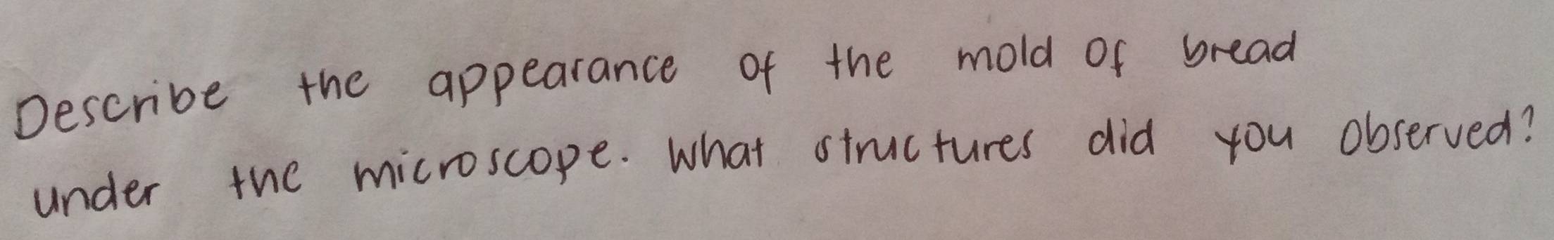 Describe the appearance of the mold of bread 
under the microscope. What structures did you observed?