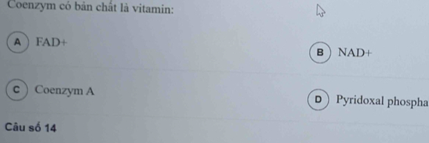 Coenzym có bản chất là vitamin:
A  FAD+
BNAD+
c) Coenzym A DPyridoxal phospha
Câu số 14