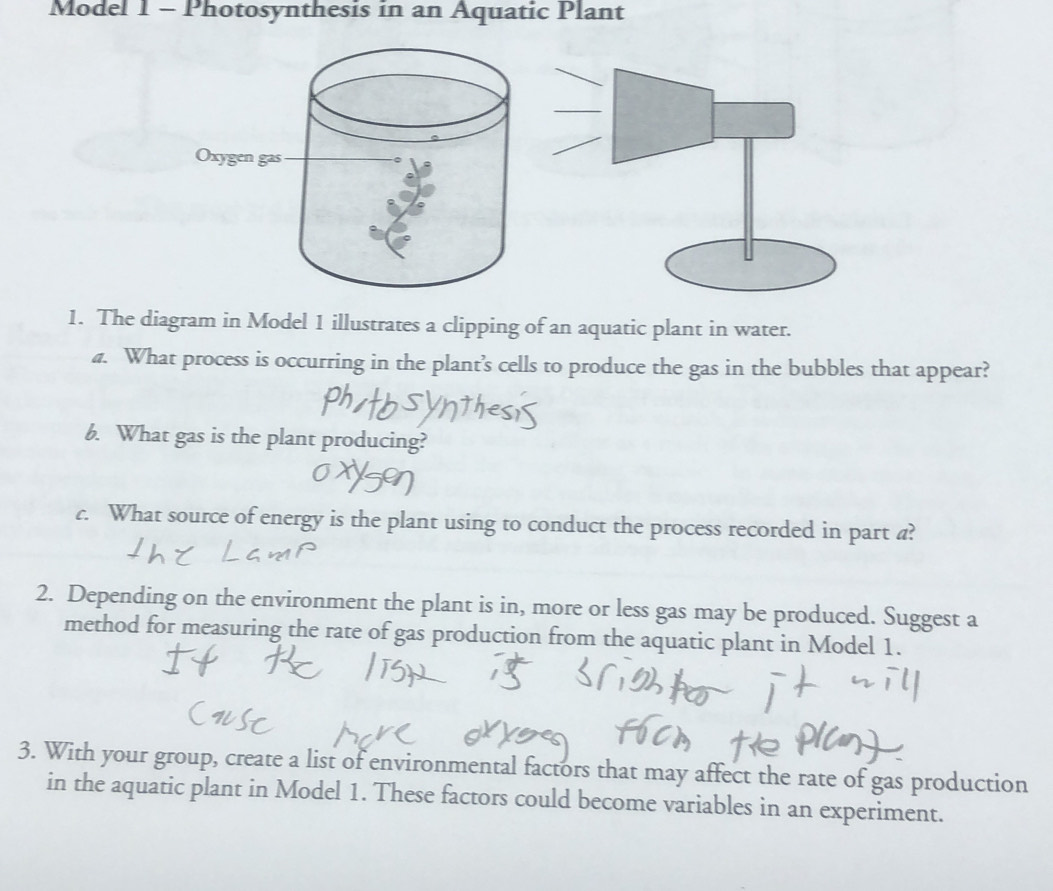 Solved: Model 1 - Photosynthesis in an Aquatic Plant 1. The diagram in Model 1 illustrates a ...
