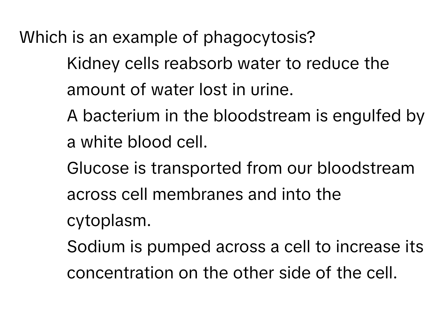 Which is an example of phagocytosis?
* Kidney cells reabsorb water to reduce the amount of water lost in urine.
* A bacterium in the bloodstream is engulfed by a white blood cell.
* Glucose is transported from our bloodstream across cell membranes and into the cytoplasm.
* Sodium is pumped across a cell to increase its concentration on the other side of the cell.