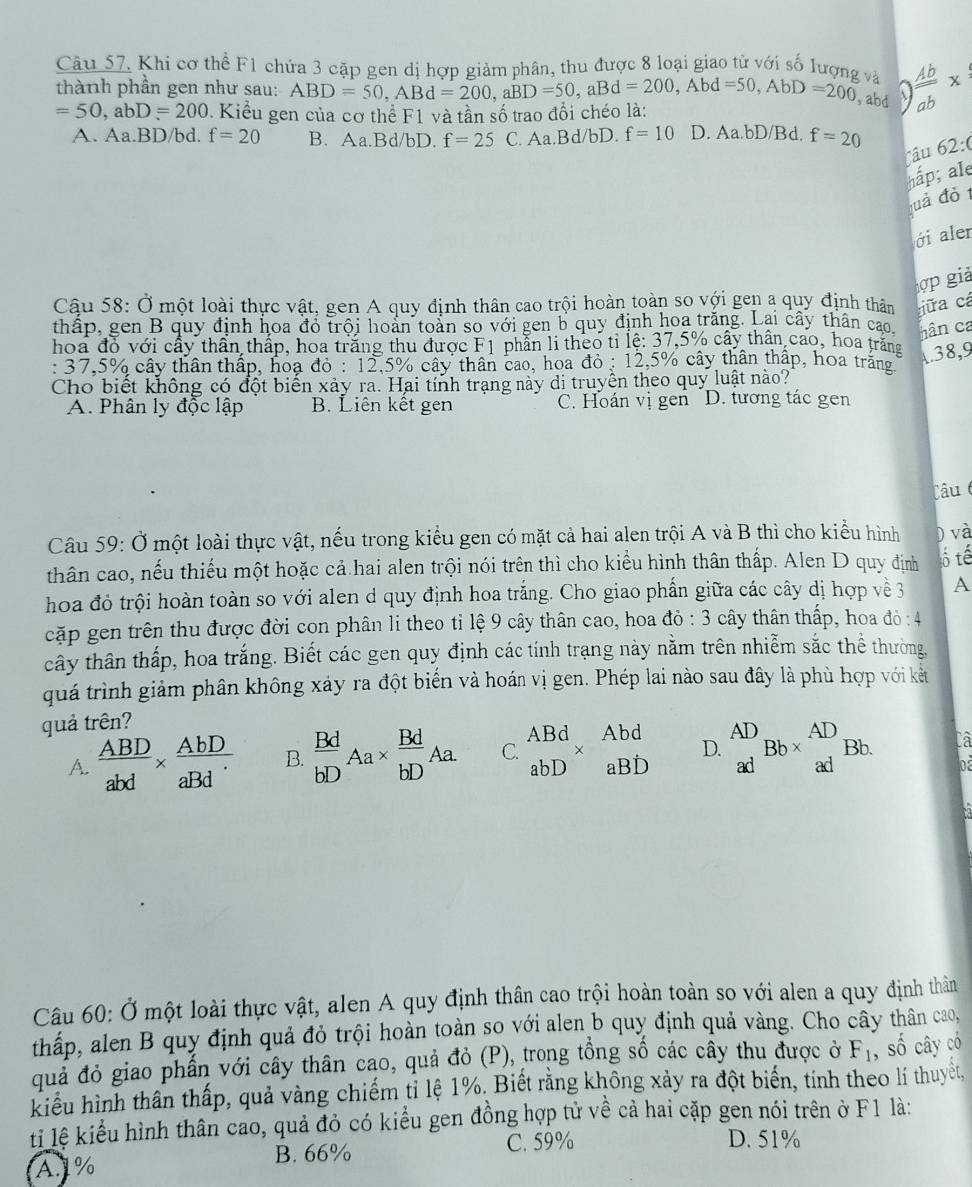 Khi cơ thể F1 chứa 3 cặp gen dị hợp giảm phân, thu được 8 loại giao tử với số lượng và
thành phần gen như sau: ABD=50,ABd=200,aBD=50,aBd=200 , Abd =50,AbD=200 , abd  Ab/ab *
=50,abD=200.  Kiểu gen của cơ thể F1 và tần số trao đổi chéo là:
A. Aa.BD/bd. f=20 B. Aa.Bd/bD. f=25 C. Aa.Bd/bD. f=10 D. Aa.bD/Bd. f=20 62:(
râu
hấp; ale
đuả đỏ t
ới aler
lợp giả
Cậu 58: Ở một loài thực vật, gen A quy định thân cao trội hoàn toàn so với gen a quy định thân ữa cá
thấp, gen B quy định hoa đó trội hoàn toàn số với gen b quy định hoa trăng. Lai cây thân cao hân ca
hoa đó với cầy thần thấp, hoa trăng thu được F1 phẫn li theo tỉ lệ: 37,5% cây thân cao, hoa trắng A.38,9
: 37,5% cây thân thấp, hoạ đỏ : 12,5% cây thân cao, hoa đỏ : 12,5% cây thân thấp, hoa trăng
Cho biết không có đột biến xảy ra. Hai tính trạng này di truyền theo quy luật nào?
A. Phân ly độc lập B. Liên kết gen C. Hoán vị gen D. tương tác gen
Câu (
Câu 59: Ở một loài thực vật, nếu trong kiểu gen có mặt cả hai alen trội A và B thì cho kiểu hình ) và
thân cao, nếu thiếu một hoặc cả hai alen trội nói trên thì cho kiểu hình thân thấp. Alen D quy định ổ tế
hoa đỏ trội hoàn toàn so với alen d quy định hoa trắng. Cho giao phần giữa các cây dị hợp về 3 A
cặp gen trên thu được đời con phân li theo tỉ lệ 9 cây thân cao, hoa đỏ : 3 cây thân thấp, hoa đỏ : 4
cây thân thấp, hoa trắng. Biết các gen quy định các tính trạng này nằm trên nhiễm sắc thể thường,
quá trình giảm phân không xảy ra đột biến và hoán vị gen. Phép lai nào sau đây là phù hợp với kết
quả trên?
A.  ABD/abd *  AbD/aBd'  B.  Bd/bD Aa*  Bd/bD Aa C. ABd beginarrayr Aba * aBD endarray D. _(ad)^(AD)Bb* _(ad)^(AD)Bb. Ca
abD
Câu 60: Ở một loài thực vật, alen A quy định thân cao trội hoàn toàn so với alen a quy định thân
thấp, alen B quy định quả đỏ trội hoàn toàn so với alen b quy định quả vàng. Cho cây thân cao,
quả đỏ giao phần với cây thân cao, quả đỏ (P), trong tổng số các cây thu được ở F_1 , số cây có
kiểu hình thần thấp, quả vàng chiếm tỉ lệ 1%. Biết rằng không xảy ra đột biến, tính theo lí thuyết,
ti lệ kiểu hình thân cao, quả đỏ có kiểu gen đồng hợp tử về cả hai cặp gen nói trên ở F1 là:
B. 66% C. 59%
D. 51%
A%