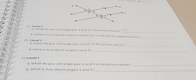 1.) Level 1 a. What do you call angle pair 4 and 6 in the picture above? 
b. What is true about angles 4 and 6? (i.e. congruent or supplementary?) 
_ 
2.) Level 1 
_ 
a. What do you call angle pair 3 and 7 in the picture above? 
_ 
_ 
b. What is true about angles 3 and 7? 
3.) Level 1 
a. What do you call angle pair 4 and 5 in the picture above?_ 
b. What is true about angles 4 and 5? 
_