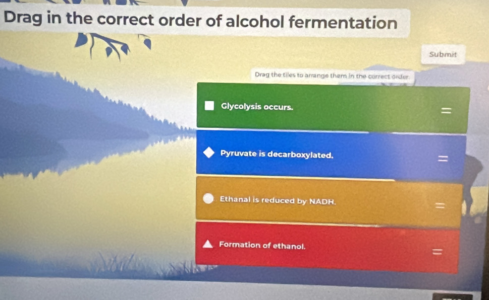 Drag in the correct order of alcohol fermentation 
Submit 
Drag the tiles to arrange them in the correct order. 
Glycolysis occurs. = 
Pyruvate is decarboxylated. = 
Ethanal is reduced by NADH. = 
Formation of ethanol. =