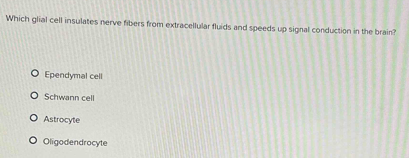 Which glial cell insulates nerve fibers from extracellular fluids and speeds up signal conduction in the brain?
Ependymal cell
Schwann cell
Astrocyte
Oligodendrocyte