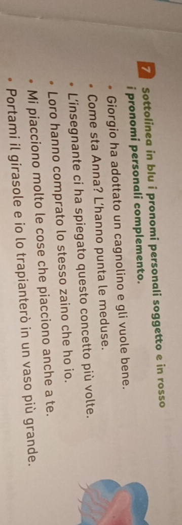 Sottolinea in blu i pronomi personali soggetto e in rosso 
i pronomi personali complemento. 
Giorgio ha adottato un cagnolino e gli vuole bene. 
Come sta Anna? L’hanno punta le meduse. 
L'insegnante ci ha spiegato questo concetto più volte. 
Loro hanno comprato lo stesso zaino che ho io. 
Mi piacciono molto le cose che piacciono anche a te. 
Portami il girasole e io lo trapianterò in un vaso più grande.