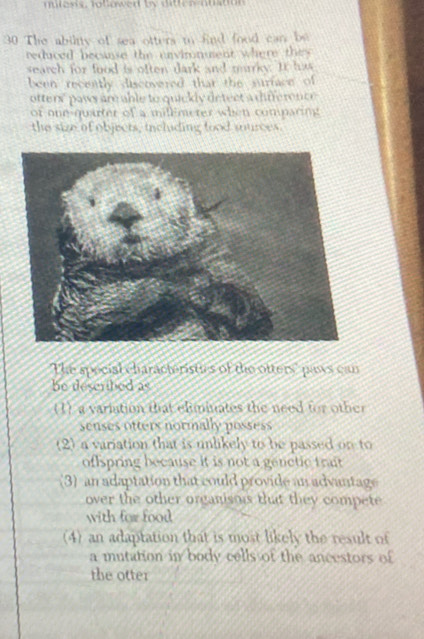 milesis, lolowed by ditter auston 
30 The ability of sea otters io fnd food can be
reduced becanse the envirnuent where they
search for food is often dark and mrky. It has
been recently discovered that the surface of
otters' paws are able to quickly detect a difference
or one-quarter of a millmeter when comparing 
the size of objects, including tood sources.
The spocial characteristies of the ofters' paws can
be described as
(1) a variation that eliminates the need for other
senses otters normally possess
(2) a variation that is unlikely to be passed on to
offspring because it is not a genctic trait
(3) an adaptation that could provide an advantage
over the other organisois that they compete
with for food
(4) an adaptation that is most likely the result of
a mutation in body cells of the ancestors of
the otter