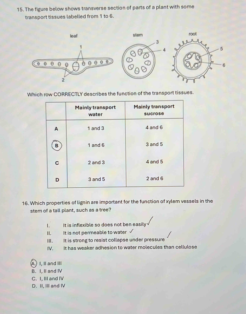 The figure below shows transverse section of parts of a plant with some
transport tissues labelled from 1 to 6.
stem
3
4
Which row CORRECTLY describes the function of the transport tissues.
Mainly transport Mainly transport
water sucrose
A 1 and 3 4 and 6
B 1 and 6 3 and 5
C 2 and 3 4 and 5
D 3 and 5 2 and 6
16. Which properties of lignin are important for the function of xylem vessels in the
stem of a tall plant, such as a tree?
I. It is inflexible so does not ben easily
II. It is not permeable to water
III. It is strong to resist collapse under pressure
IV. It has weaker adhesion to water molecules than cellulose
A I, II and III
B. I, II and IV
C. I, III and IV
D. II, III and IV