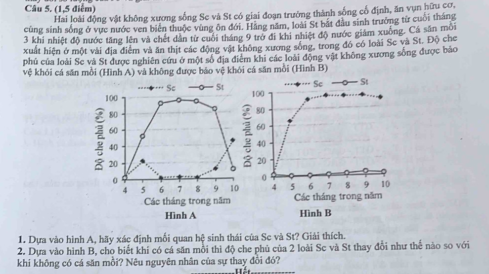 (1,5 điểm) 
Hai loài động vật không xương sống Sc và St có giai đoạn trưởng thành sống cố định, ăn vụn hữu cơ, 
cùng sinh sống ở vực nước ven biên thuộc vùng ôn đới. Háng năm, loài St bắt đầu sinh trưởng từ cuối tháng 
3 khi nhiệt độ nước tăng lên và chết dân từ cuối tháng 9 trở đi khi nhiệt độ nước giảm xuống. Cá săn môi 
xuất hiện ở một vài địa điểm và ăn thịt các động vật không xương sống, trong đó có loài Sc và St. Độ che 
phủ của loài Sc và St được nghiên cứu ở một số địa điểm khi các loài động vật không xương sống được bảo 
vệ khỏi cá săn mồi (Hình A) và không được bảo vệ khỏi cá săn mồi (Hình B) 
* * « Ag = Sc St
100
80
。
60
40
8 20
。
0
4 5 6 7 8 9 10
Các tháng trong năm 
Hình A 
1. Dựa vào hình A, hãy xác định mối quan hệ sinh thái của Sc và St? Giải thích. 
2. Dựa vào hình B, cho biết khi có cá săn mồi thì độ che phủ của 2 loài Sc và St thay đổi như thế nào so với 
khi không có cá săn mồi? Nêu nguyên nhân của sự thay đổi đó?