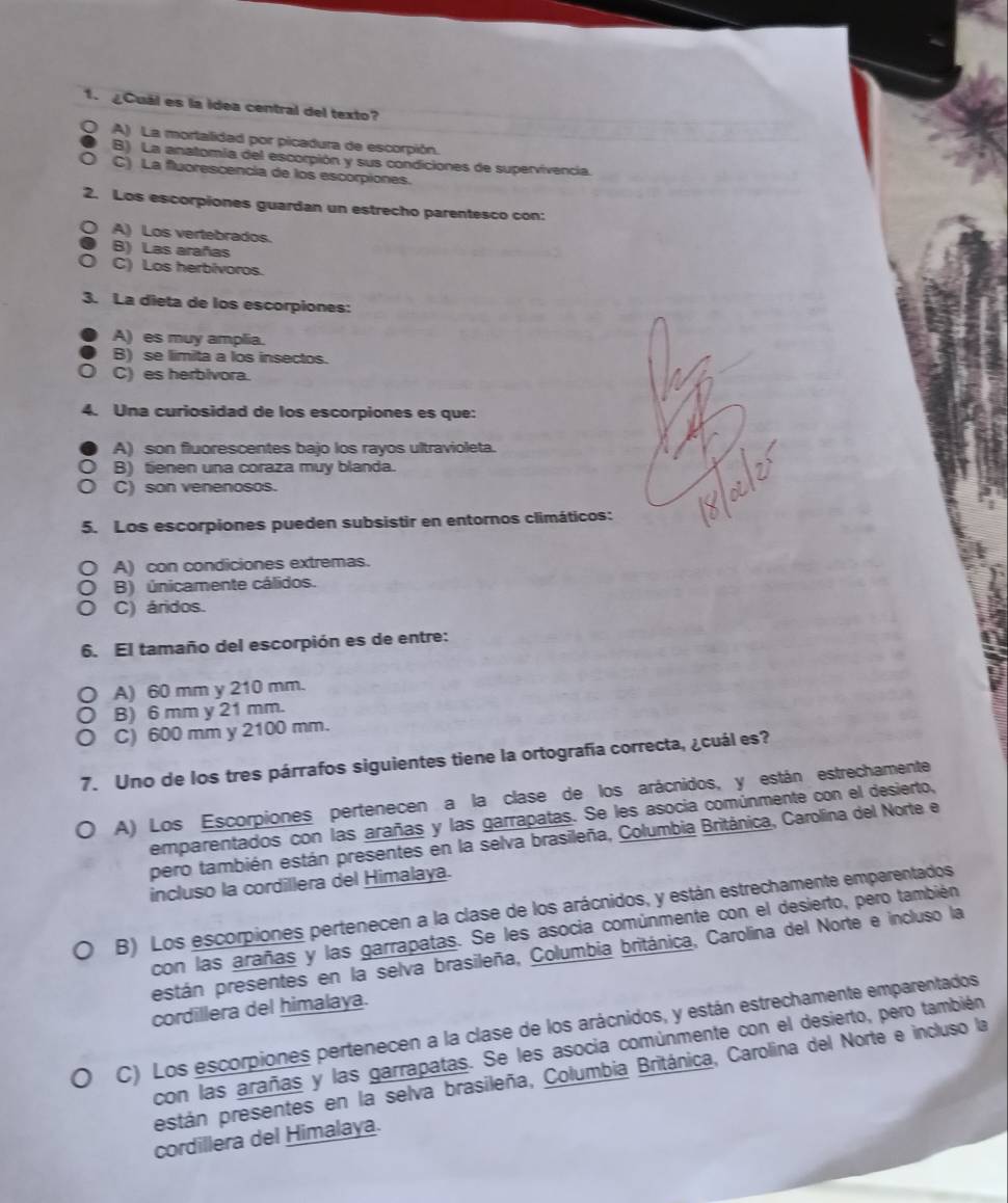 1  ¿Cuál es la idea central del texto?
A) La mortalidad por picadura de escorpión.
B) La anatomía del escorpión y sus condiciones de supervivencia.
C) La fluorescencia de los escorpiones.
2. Los escorpiones guardan un estrecho parentesco con:
A) Los vertebrados.
B) Las arañas
C) Los herbivoros.
3. La dieta de los escorpiones:
A) es muy amplia.
B) se limita a los insectos.
C) es herblvora.
4. Una curiosidad de los escorpiones es que:
A) son fluorescentes bajo los rayos ultravioleta.
B) tenen una coraza muy blanda.
C) son venenosos.
5. Los escorpiones pueden subsistir en entornos climáticos:
A) con condiciones extremas.
B) únicamente cálidos.
C) áridos.
6. El tamaño del escorpión es de entre:
A) 60 mm y 210 mm.
B) 6 mm y 21 mm.
C) 600 mm y 2100 mm.
7. Uno de los tres párrafos siguientes tiene la ortografía correcta, ¿cuál es?
A) Los Escorpiones pertenecen a la clase de los arácnidos, y están estrechamente
emparentados con las arañas y las garrapatas. Se les asocia comúnmente con el desierto,
pero también están presentes en la selva brasileña, Columbia Británica, Carolina del Norte el
incluso la cordillera del Himalaya.
B) Los escorpiones pertenecen a la clase de los arácnidos, y están estrechamente emparentados
con las arañas y las garrapatas. Se les asocia comúnmente con el desierto, pero también
están presentes en la selva brasileña, Columbia británica, Carolina del Norte e incluso la
cordillera del himalaya.
C) Los escorpiones pertenecen a la clase de los arácnidos, y están estrechamente emparentados
con las arañas y las garrapatas. Se les asocia comúnmente con el desierto, pero también
pestán presentes en la selva brasileña, Columbia Británica, Carolina del Norte e incluso la
cordillera del Himalaya.