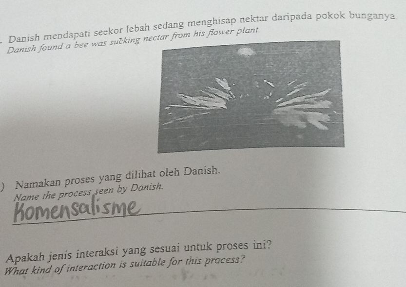 Danish mendapati seekor lębah sedang menghisap nektar daripada pokok bunganya 
Danish found a bee was sucking r from his flower plant 
) Namakan proses yang dilihat oleh Danish. 
Name the process seen by Danish. 
_ 
Apakah jenis interaksi yang sesuai untuk proses ini? 
What kind of interaction is suitable for this process?