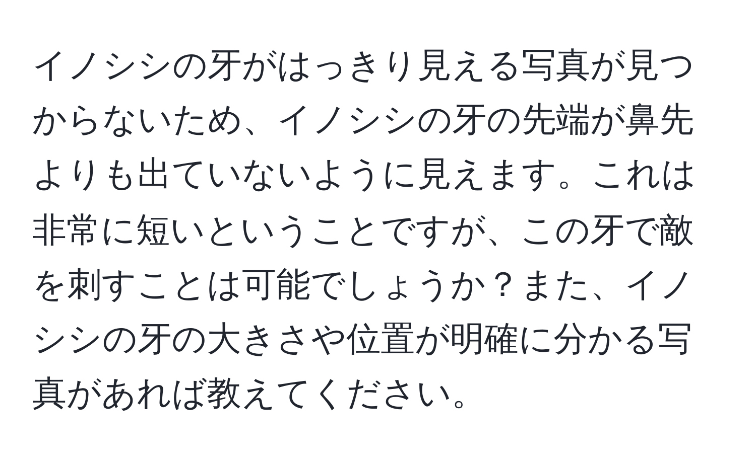 イノシシの牙がはっきり見える写真が見つからないため、イノシシの牙の先端が鼻先よりも出ていないように見えます。これは非常に短いということですが、この牙で敵を刺すことは可能でしょうか？また、イノシシの牙の大きさや位置が明確に分かる写真があれば教えてください。