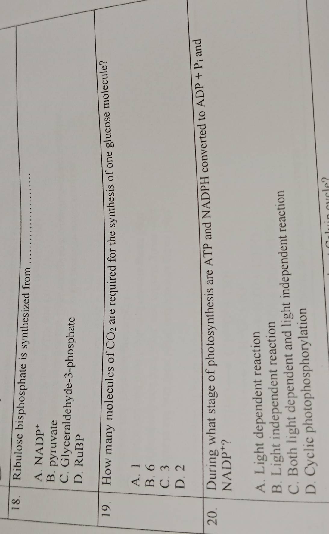 Ribulose bisphosphate is synthesized from
A. NADP†
B. pyruvate
C. Glyceraldehyde-3-phosphate
D. RuBP
19. How many molecules of CO_2 are required for the synthesis of one glucose molecule?
A. 1
B. 6
C. 3
D. 2
20. During what stage of photosynthesis are ATP and NADPH converted to ADP+P_i and
NADP⁺?
A. Light dependent reaction
B. Light independent reaction
C. Both light dependent and light independent reaction
D. Cyclic photophosphorylation