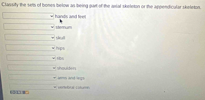 Classify the sets of bones below as being part of the axial skeleton or the appendicular skeleton.
□ hands and feet 
□ sternum 
□ skull 
□ hips
□ v ribs 
_  v shoulders
□ arms and legs 
vertebral column 
Done