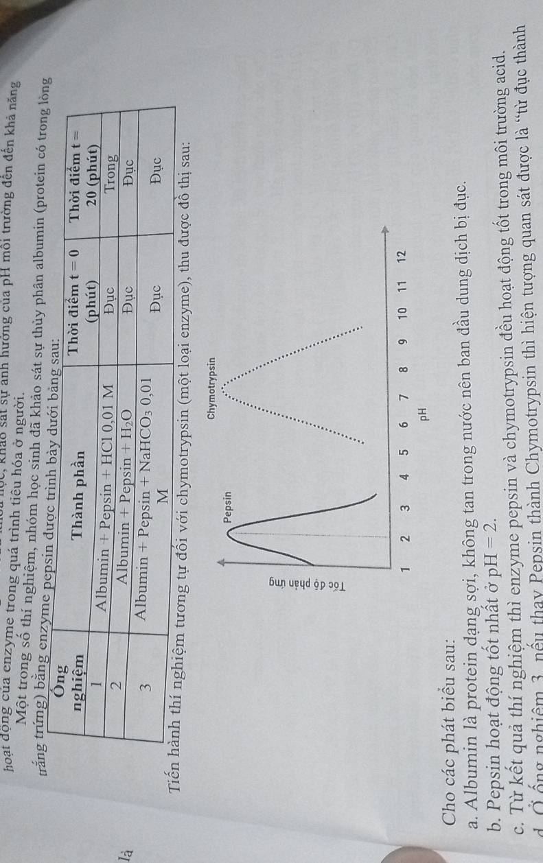 hộc, khảo sát sự anh hưởng của pH môi trường đến đến khả năng
hoạt động của enzyme trong quá trình tiêu hóa ở người.
Một trong số thí nghiệm, nhóm học sinh đã khảo sát sự thủy phân albumin (protein có trong lòng
trắng trứng) bằng enzym
là
tương tự đối với chymotrypsin (một loại enzyme), thu được đồ thị sau:
Cho các phát biểu sau:
a. Albumin là protein dạng sợi, không tan trong nước nên ban đầu dung dịch bị đục.
b. Pepsin hoạt động tốt nhất ở pH=2.
c. Từ kết quả thí nghiệm thì enzyme pepsin và chymotrypsin đều hoạt động tốt trong môi trường acid.
d Ở ống nghiệm 3, nếu thay Pepsin thành Chymotrypsin thì hiện tượng quan sát được là “từ đục thành