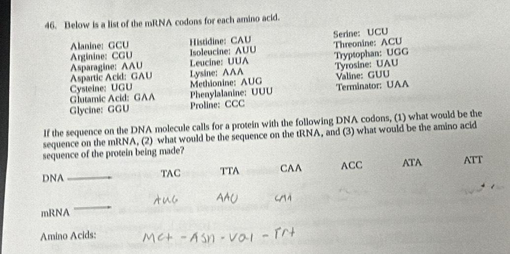 Below is a list of the mRNA codons for each amino acid. 
Alanine: GCU Histidine: CAU Serine: UCU 
Arginine: CGU Isoleucine: AUU Threonine: ACU 
Asparagine: AAU Leucine: UUA Tryptophan: UGG 
Aspartic Acid: GAU Lysine: AAA Tyrosine: UAU 
Cysteine: UGU Methionine: AUG Valine: GUU 
Glutamic Acid: GAA Phenylalanine: UUU Terminator: UAA 
Glycine: GGU Proline: CCC 
If the sequence on the DNA molecule calls for a protein with the following DNA codons, (1) what would be the 
sequence on the mRNA, (2) what would be the sequence on the tRNA, and (3) what would be the amino acid 
sequence of the protein being made? 
DNA_ TAC TTA CAA ACC ATA ATT 
mRNA 
_ 
Amino Acids: