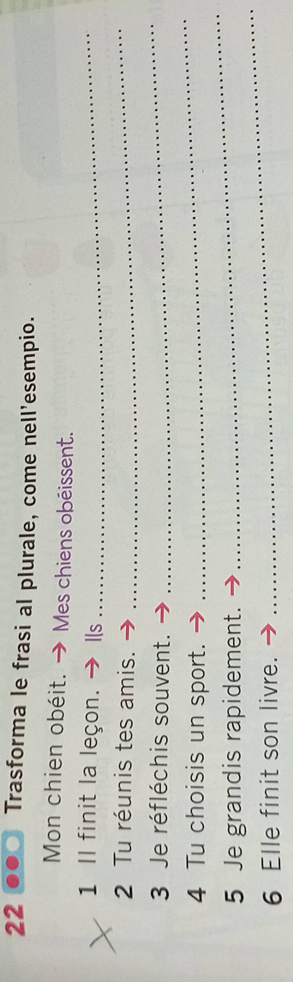 Trasforma le frasi al plurale, come nell'esempio. 
Mon chien obéit. → Mes chiens obéissent. 
1 Il finit la leçon. → Ils_ 
2 Tu réunis tes amis. 
_ 
3 Je réfléchis souvent. 
_ 
4 Tu choisis un sport. 
_ 
_ 
5 Je grandis rapidement. 
_ 
6 Elle finit son livre.