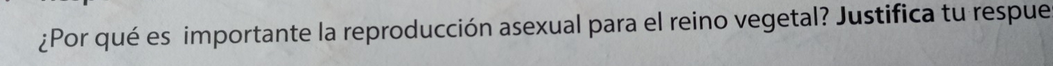 ¿Por qué es importante la reproducción asexual para el reino vegetal? Justifica tu respue