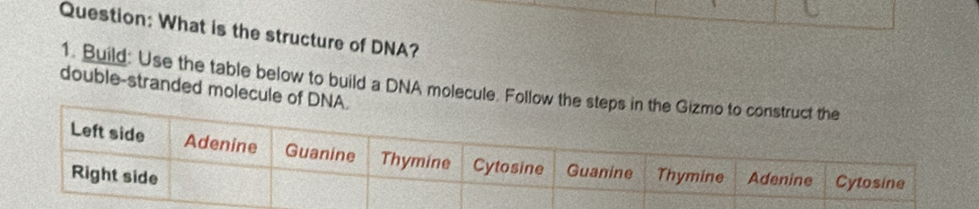 What is the structure of DNA? 
1. Build: Use the table below to build a DNA molecule. Follo 
double-stranded molecule of