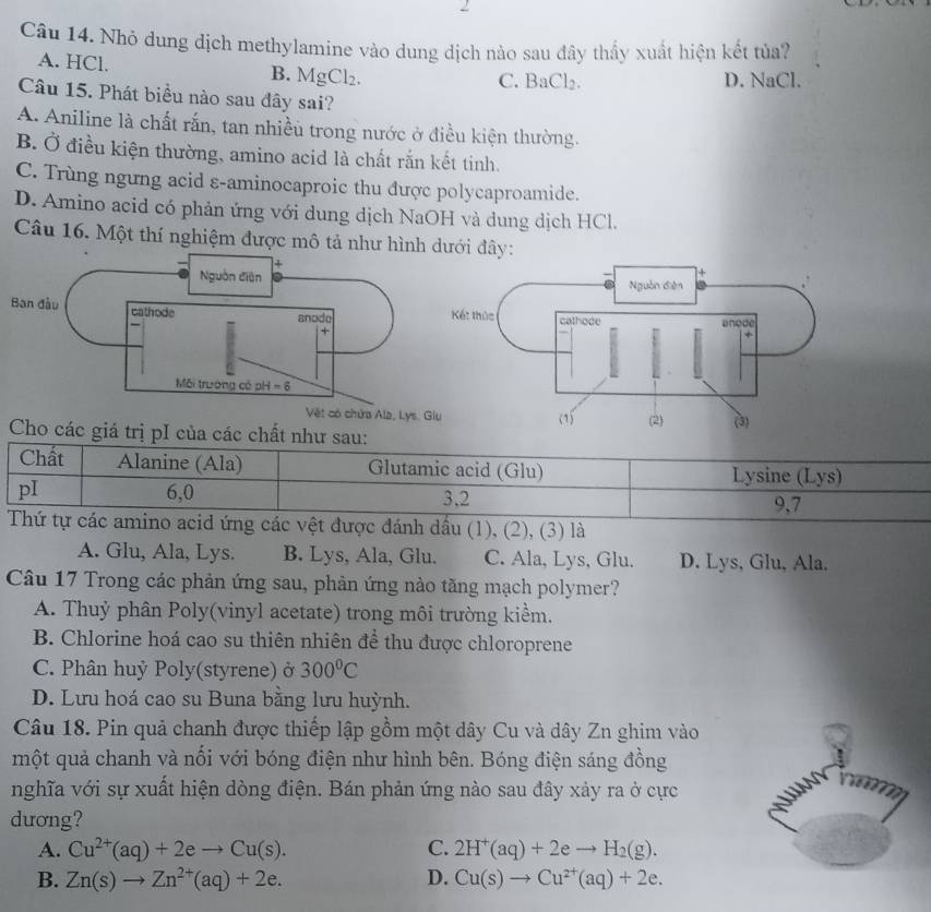 Nhỏ dung dịch methylamine vào dung dịch nào sau đây thấy xuất hiện kết tủa?
A. HCl. B. MgCl_2.
C. BaCl_2. D. NaCl.
Câu 15. Phát biểu nào sau đây sai?
A. Aniline là chất rắn, tan nhiều trong nước ở điều kiện thường.
B. Ở điều kiện thường, amino acid là chất rắn kết tinh.
C. Trùng ngưng acid ε-aminocaproic thu được polycaproamide.
D. Amino acid có phản ứng với dung dịch NaOH và dung dịch HCl.
Câu 16. Một thí nghiệm được mô tả như hình dưới đây:
Cho các giá trị pI của các chất như sau:
Chất Alanine (Ala) Glutamic acid (Glu) Lysine (Lys)
pI 6,0 3,2
9,7
Thứ tự các amino acid ứng các vệt được đánh dầu (1), (2), (3) là
A. Glu, Ala, Lys. B. Lys, Ala, Glu. C. Ala, Lys, Glu. D. Lys, Glu, Ala.
Câu 17 Trong các phản ứng sau, phản ứng nào tăng mạch polymer?
A. Thuỷ phân Poly(vinyl acetate) trong môi trường kiểm.
B. Chlorine hoá cao su thiên nhiên để thu được chloroprene
C. Phân huỷ Poly(styrene) ở 300°C
D. Lưu hoá cao su Buna bằng lưu huỳnh.
Câu 18. Pin quả chanh được thiếp lập gồm một dây Cu và dây Zn ghim vào
một quả chanh và nối với bóng điện như hình bên. Bóng điện sáng đồng
nghĩa với sự xuất hiện dòng điện. Bán phản ứng nào sau đây xảy ra ở cực
dương?
A. Cu^(2+)(aq)+2eto Cu(s). C. 2H^+(aq)+2eto H_2(g).
B. Zn(s)to Zn^(2+)(aq)+2e. D. Cu(s)to Cu^(2+)(aq)+2e.