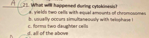 What will happened during cytokinesis?
a. yields two cells with equal amounts of chromosomes
b. usually occurs simultaneously with telophase I
c. forms two daughter cells
d. all of the above