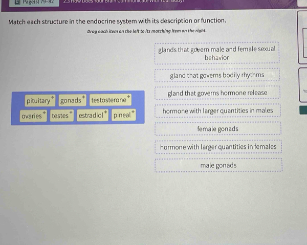Solved: Page(s) 79-82 Match each structure in the endocrine system with ...