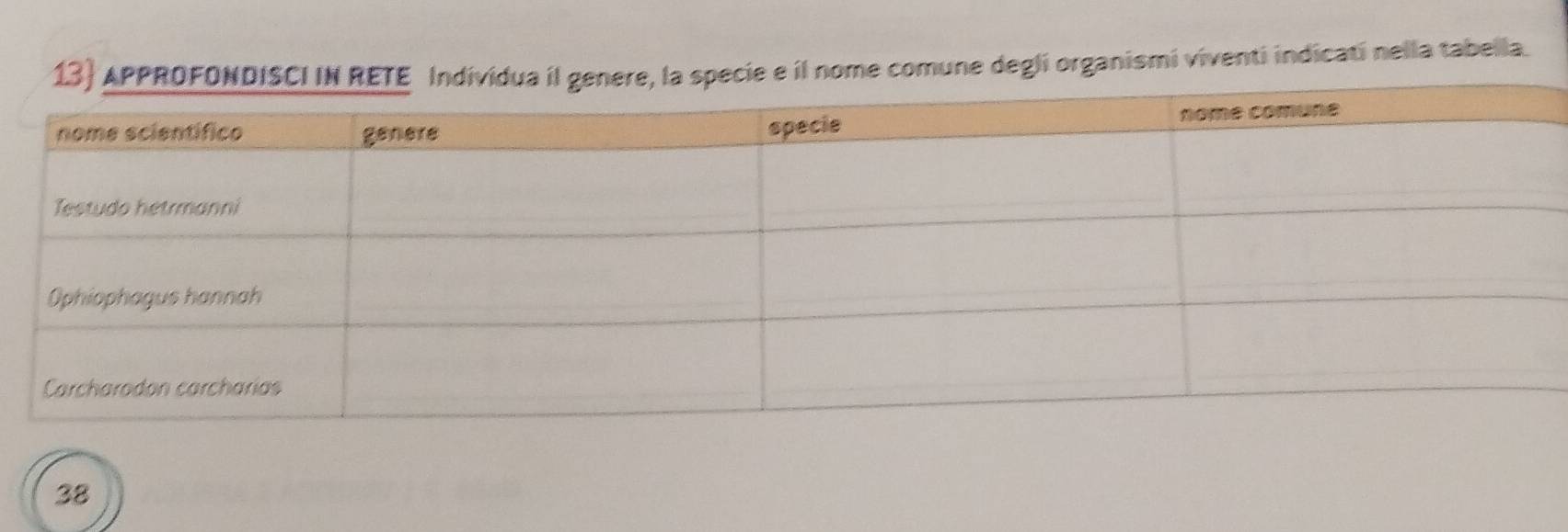 13 specie e il nome comune degli organismi viventi indicati nella tabella. 
38