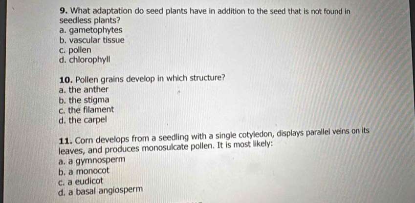 What adaptation do seed plants have in addition to the seed that is not found in
seedless plants?
a. gametophytes
b. vascular tissue
c. pollen
d. chlorophyll
10. Pollen grains develop in which structure?
a. the anther
b. the stigma
c. the filament
d. the carpel
11. Corn develops from a seedling with a single cotyledon, displays parallel veins on its
leaves, and produces monosulcate pollen. It is most likely:
a. a gymnosperm
b. a monocot
c. a eudicot
d. a basal angiosperm