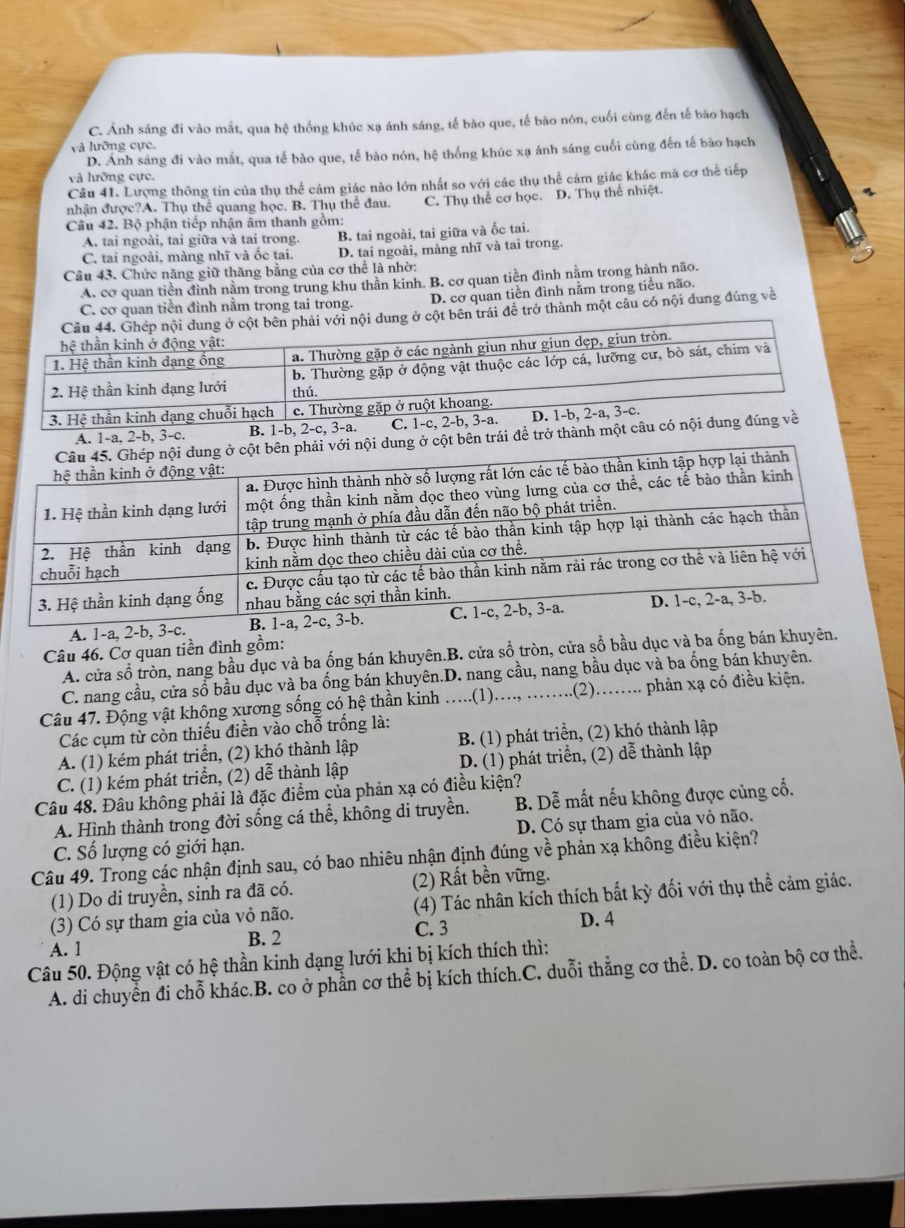 C. Ánh sáng đi vào mắt, qua hệ thống khúc xạ ánh sáng, tế bào que, tế bào nón, cuối cùng đến tế bào hạch
và lưỡng cực.
D. Ánh sáng đi vào mắt, qua tế bào que, tế bào nón, hệ thống khúc xạ ánh sáng cuối cùng đến tế bào hạch
và hỡng cực.
Câu 41. Lượng thông tin của thụ thể cảm giác nào lớn nhất so với các thụ thể cảm giác khác mà cơ thể tiếp
nhận được?A. Thụ thể quang học. B. Thụ thể đau. C. Thụ thể cơ học. D. Thụ thể nhiệt.
Câu 42. Bộ phận tiếp nhận âm thanh gồm:
A. tai ngoài, tai giữa và tai trong. B. tai ngoài, tai giữa và ốc tai.
C. tai ngoài, màng nhĩ và ốc tai. D. tai ngoài, màng nhĩ và tai trong.
Câu 43. Chức năng giữ thăng bằng của cơ thể là nhờ:
A. cơ quan tiền đình nằm trong trung khu thần kinh. B. cơ quan tiền đình nằm trong hành não.
C. cơ quan tiền đình nằm trong tai trong. D. cơ quan tiền đình nằm trong tiều não.
t bên trái đề trở thành một câu có nội dung đúng về
A. 1-a, 2-b, 3-c. B
ở cột bên trái đề trở thành 
A. 1-a, 2-
Câu 46. Cơ quan tiền đình gồm:
A. cửa số tròn, nang bầu dục và ba ống bán khuyên.B. cửa sổ tròn, cửa sổ bầu dục và ba ống bán khuyên.
C. nang cầu, cửa sổ bầu dục và ba ống bán khuyên.D. nang cầu, nang bầu dục và ba ống bán khuyên.
Câu 47. Động vật không xương sống có hệ thần kinh ......(1)...., ........ .(2).…... phản xạ có điều kiện.
Các cụm từ còn thiếu điền vào chỗ trống là:
A. (1) kém phát triển, (2) khó thành lập B. (1) phát triển, (2) khó thành lập
C. (1) kém phát triển, (2) dễ thành lập D. (1) phát triển, (2) dễ thành lập
Câu 48. Đâu không phải là đặc điểm của phản xạ có điều kiện?
A. Hình thành trong đời sống cá thể, không di truyền. B. Dễ mất nếu không được củng cố.
C. Số lượng có giới hạn. D. Có sự tham gia của vỏ não.
Câu 49. Trong các nhận định sau, có bao nhiêu nhận định đúng về phản xạ không điều kiện?
(1) Do di truyền, sinh ra đã có. (2) Rất bền vững.
(3) Có sự tham gia của vỏ não. (4) Tác nhân kích thích bất kỳ đối với thụ thể cảm giác.
A. 1 B. 2 C. 3
D. 4
Câu 50. Động vật có hệ thần kinh dạng lưới khi bị kích thích thì:
A. di chuyển đi chỗ khác.B. co ở phần cơ thể bị kích thích.C. duỗi thắng cơ thể. D. co toàn bộ cơ thể.