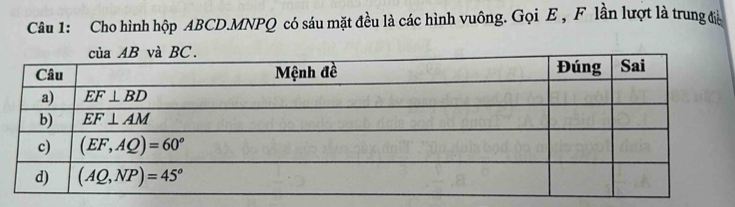 Cho hình hộp ABCD.MNPQ có sáu mặt đều là các hình vuông. Gọi E , F lần lượt là trung đị