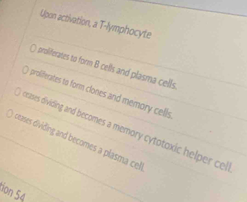 Upon activation, a T-lymphocyte 
proliferates to form B cells and plasma cells 
proliferates to form clones and memory cells 
eases dividing and becomes a memory cytotoxic helper cel 
ceases dividing and becomes a plasma cel. 
ion 54