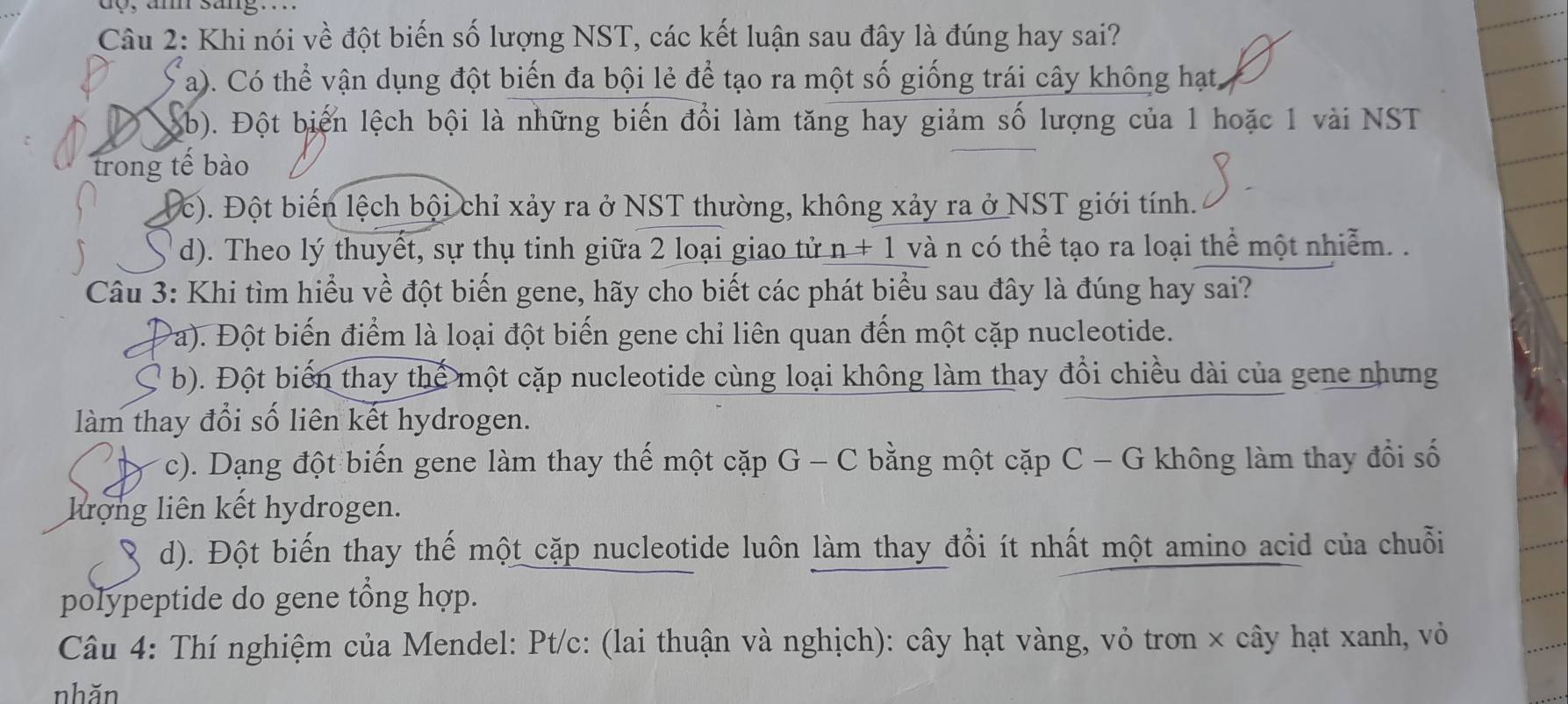 am sang. . 
Câu 2: Khi nói về đột biến số lượng NST, các kết luận sau đây là đúng hay sai?
a). Có thể vận dụng đột biến đa bội lẻ để tạo ra một số giống trái cây không hạt,
b). Đột biến lệch bội là những biến đổi làm tăng hay giảm số lượng của 1 hoặc 1 vài NST
trong tế bào
c). Đột biến lệch bội chỉ xảy ra ở NST thường, không xảy ra ở NST giới tính.
d). Theo lý thuyết, sự thụ tinh giữa 2 loại giao tử n+1 và n có thể tạo ra loại thể một nhiễm. .
Câu 3: Khi tìm hiểu về đột biến gene, hãy cho biết các phát biểu sau đây là đúng hay sai?
Pa). Đột biến điểm là loại đột biến gene chỉ liên quan đến một cặp nucleotide.
( b). Đột biển thay thể một cặp nucleotide cùng loại không làm thay đổi chiều dài của gene nhưng
làm thay đổi số liên kết hydrogen.
c). Dạng đột biến gene làm thay thế một cặp G - C bằng một cặp C - G không làm thay đổi số
lượng liên kết hydrogen.
S d). Đột biến thay thế một cặp nucleotide luôn làm thay đổi ít nhất một amino acid của chuỗi
polypeptide do gene tổng hợp.
Câu 4: Thí nghiệm của Mendel: Pt/c: (lai thuận và nghịch): cây hạt vàng, vỏ trơn × cây hạt xanh, vỏ
nhăn