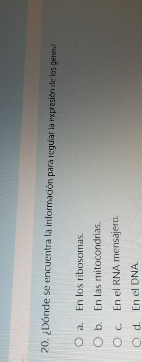 ¿Dónde se encuentra la información para regular la expresión de los genes?
a. En los ribosomas.
b. En las mitocondrias.
c. En el RNA mensajero.
d. En el DNA.