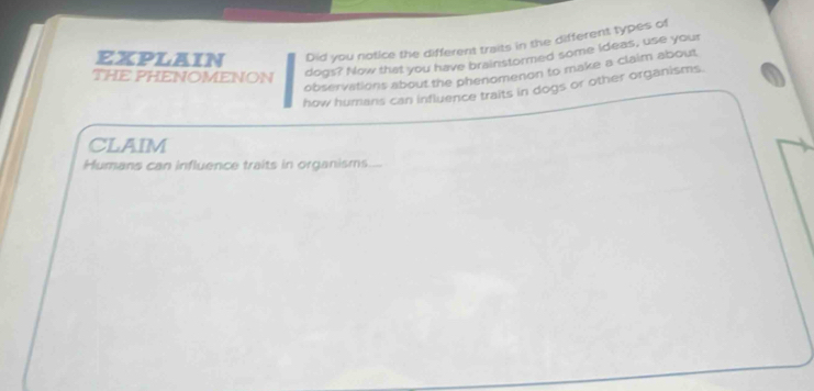 EXPLAIN Did you notice the different traits in the different types of 
THE PHENOMENON dogs? Now that you have brainstormed some Ideas, use your 
observations about the phenomenon to make a claim about 
how humans can influence traits in dogs or other organisms. 
CLAIM 
Humans can influence traits in organisms